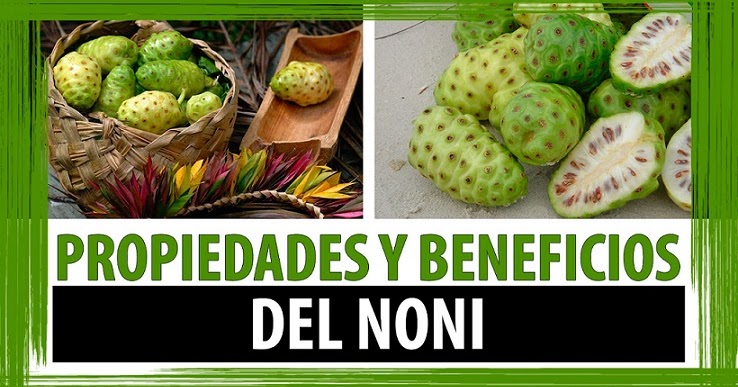 Como se come el noni para adelgazar